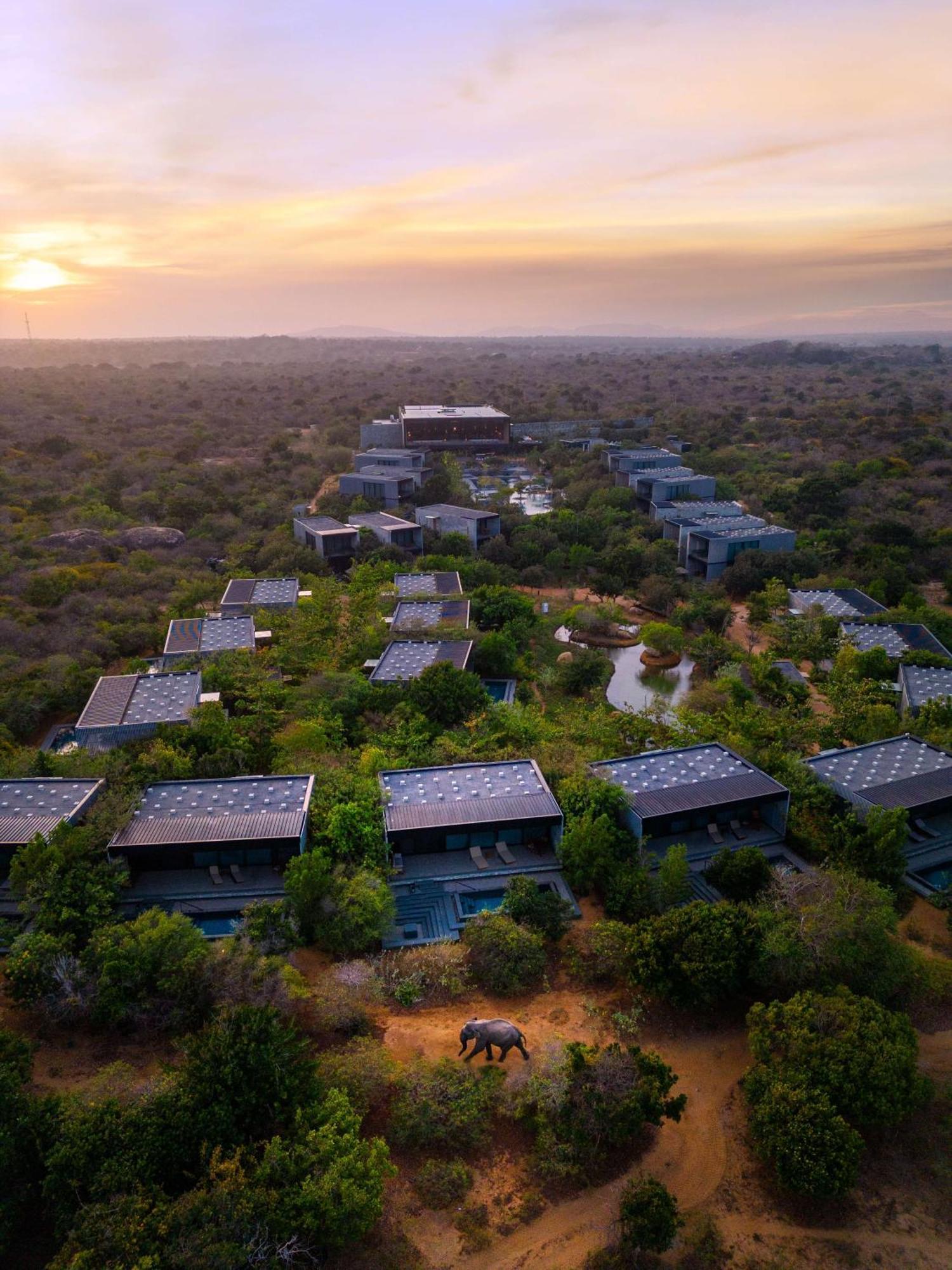 Hilton Yala Resort מראה חיצוני תמונה